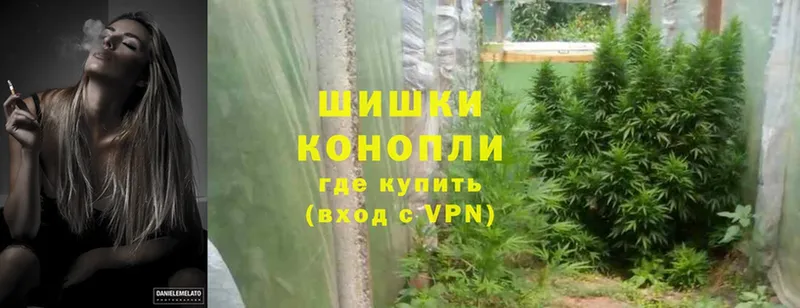 продажа наркотиков  Урюпинск  Марихуана SATIVA & INDICA 